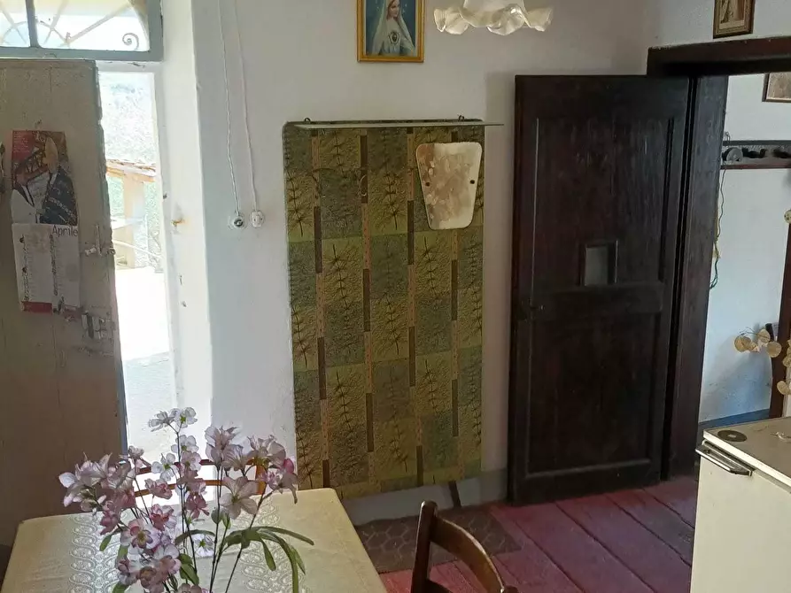 Immagine 21 di Terratetto in vendita  a Camaiore