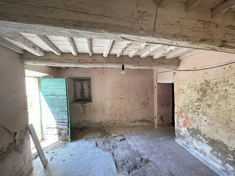 Immagine 29 di Terratetto in vendita  a Seravezza