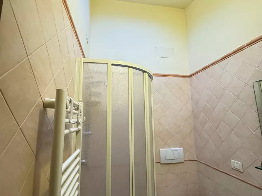 Immagine 41 di Casa indipendente in affitto  a Pietrasanta