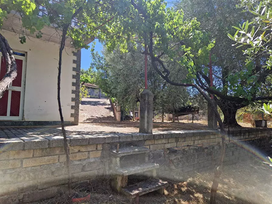 Immagine 6 di Villa in vendita  in Contrada Zancati Nuovo a Paliano