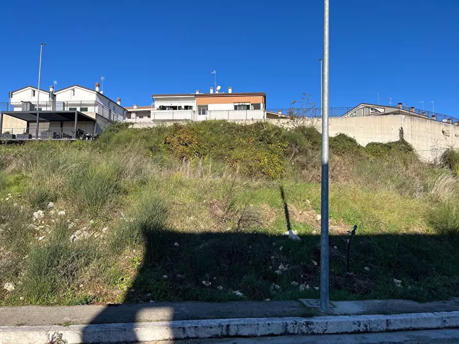 Immagine 1 di Terreno agricolo in vendita  in Via delle Mele a Segni