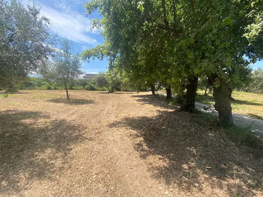 Immagine 5 di Terreno industriale in vendita  in Via Querceto a Cepagatti