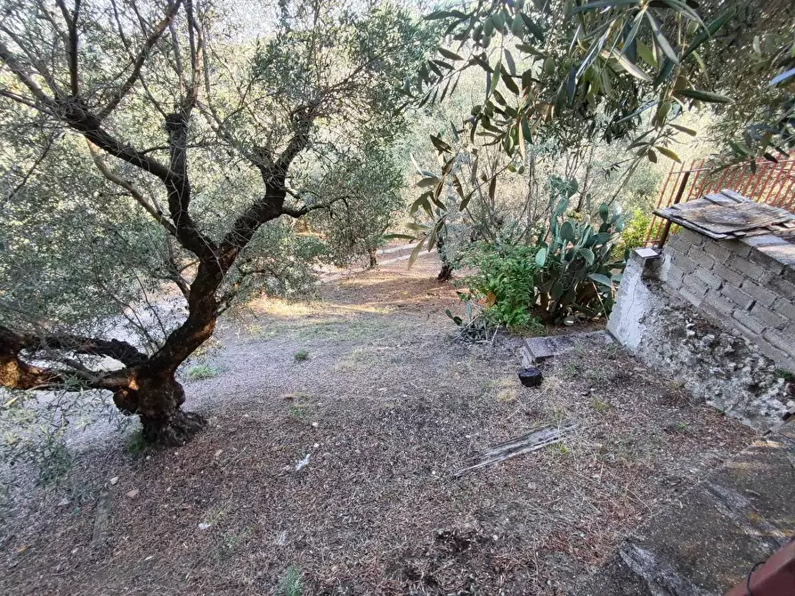 Immagine 17 di Terreno agricolo in vendita  in via caolini a Marcellina