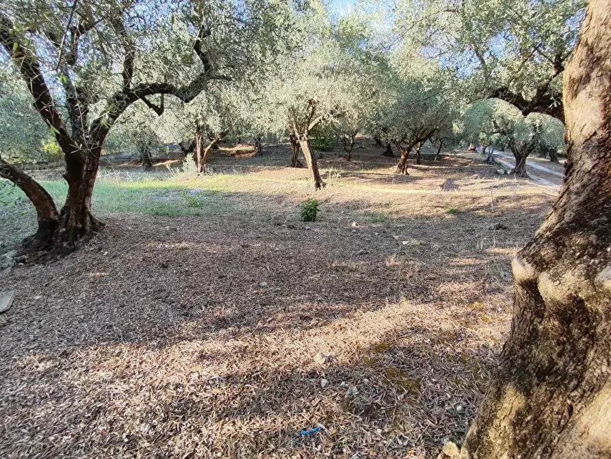 Immagine 7 di Terreno agricolo in vendita  in via caolini a Marcellina