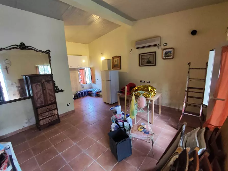 Immagine 18 di Terreno agricolo in vendita  in Via Dello Scalo Ferroviario 12 a Marcellina