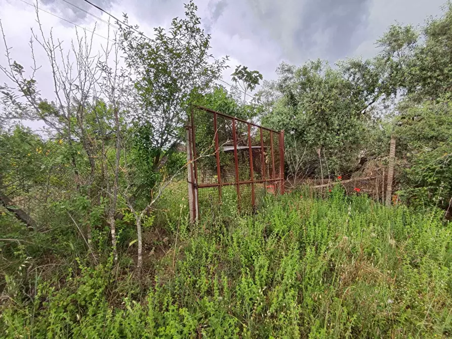 Immagine 5 di Terreno agricolo in vendita  in Via Colle Rosa a Tivoli