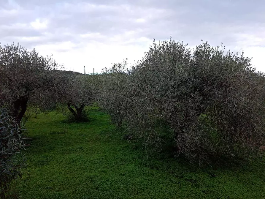 Immagine 14 di Villa in vendita  a Alghero