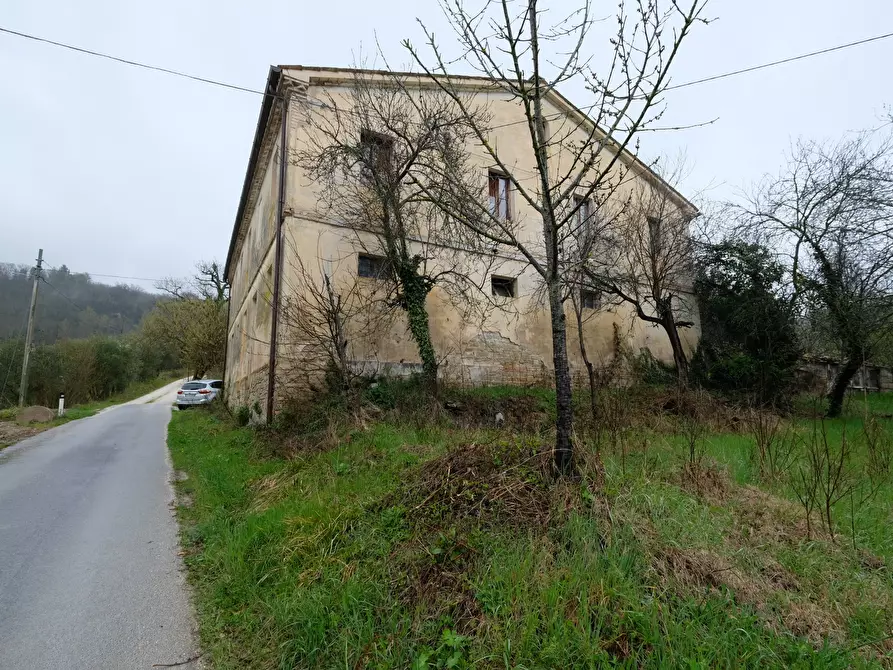 Immagine 9 di Terreno agricolo in vendita  in Contrada Salerna 129 a Cupramontana