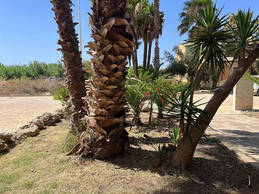 Immagine 5 di Appartamento in vendita  in Viale Lido a Pachino