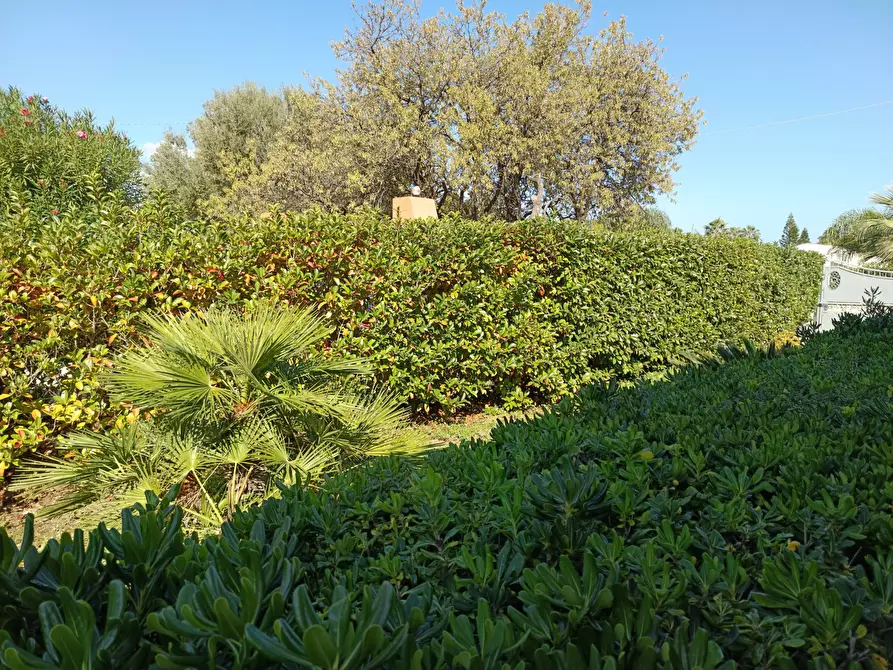 Immagine 60 di Villetta a schiera in vendita  a Castellammare Del Golfo