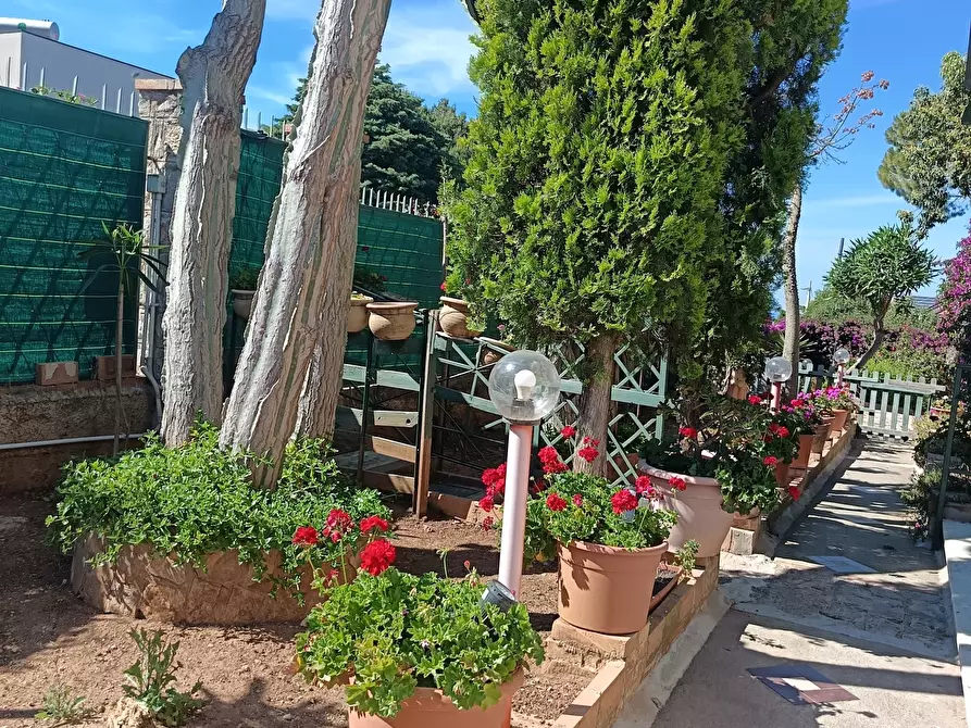 Immagine 85 di Villa in vendita  a Trabia