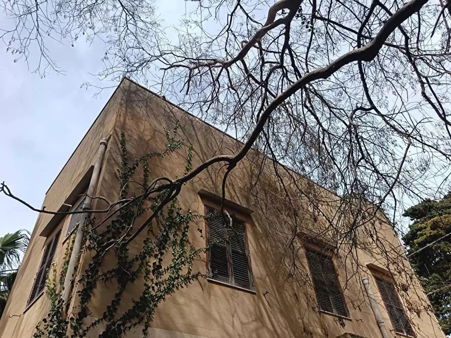 Immagine 4 di Villa in vendita  a Valderice