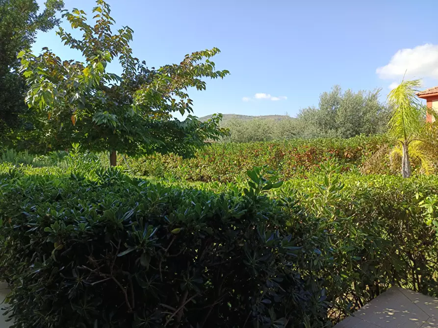 Immagine 58 di Villetta a schiera in vendita  a Castellammare Del Golfo