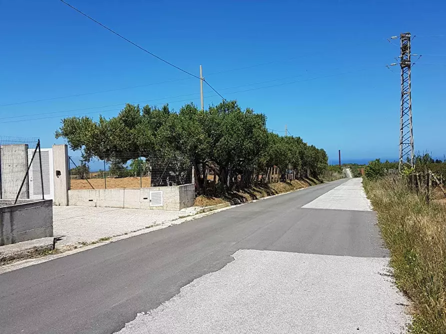 Immagine 1 di Terreno agricolo in vendita  a Partinico