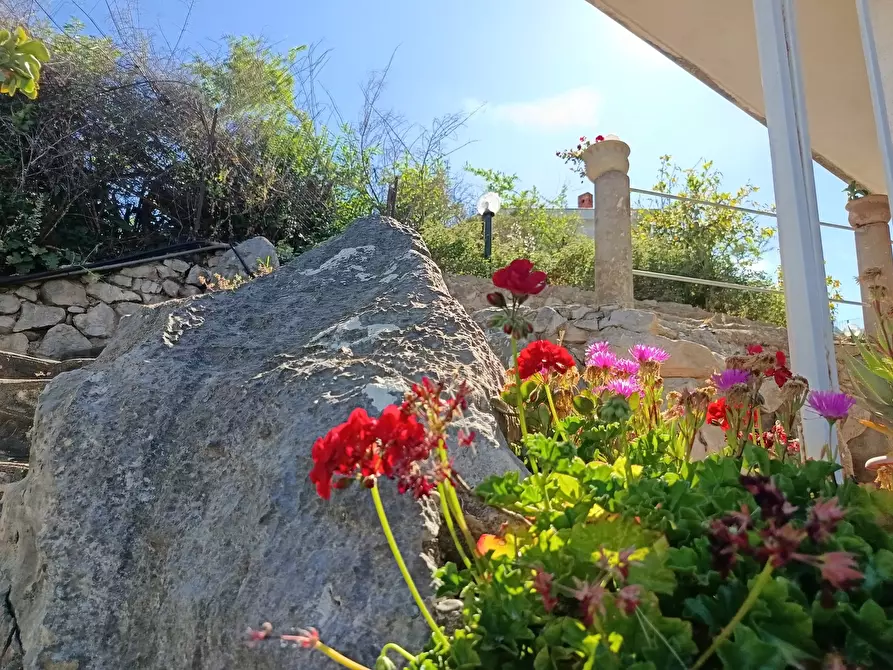 Immagine 31 di Villa in vendita  a Trabia