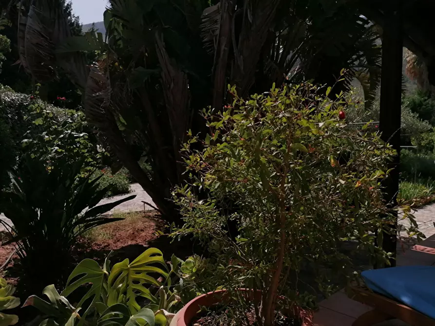 Immagine 94 di Villa in vendita  a Castellammare Del Golfo