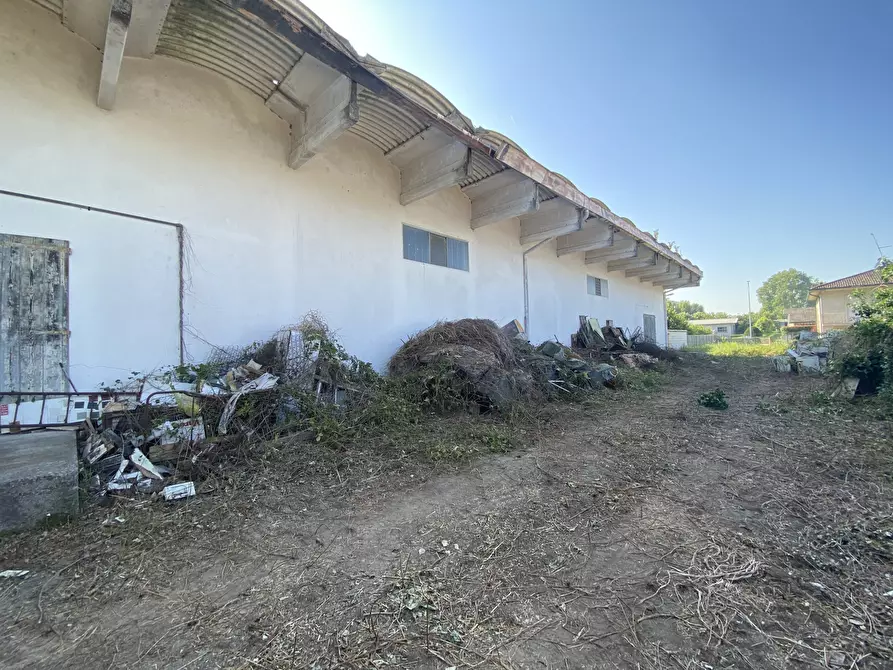 Immagine 9 di Capannone industriale in vendita  in Via Papa Giovanni XXIII 2 a Caselle Landi
