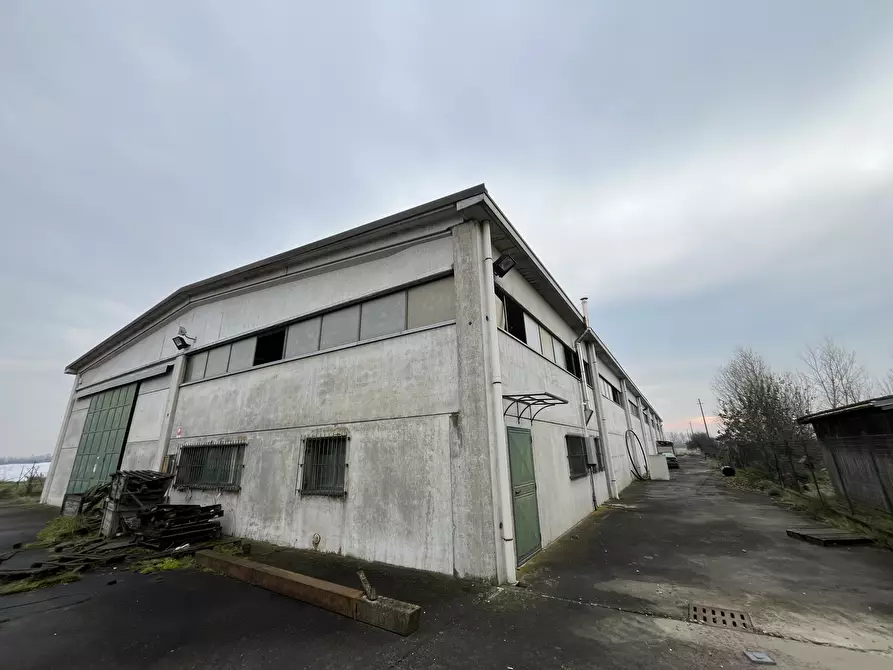 Immagine 35 di Capannone industriale in vendita  in Strada Provinciale 99 2 a Pancarana