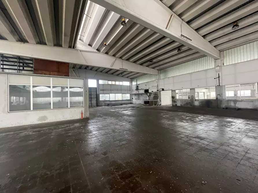 Immagine 26 di Capannone industriale in vendita  in Via Po 2 a Codogno
