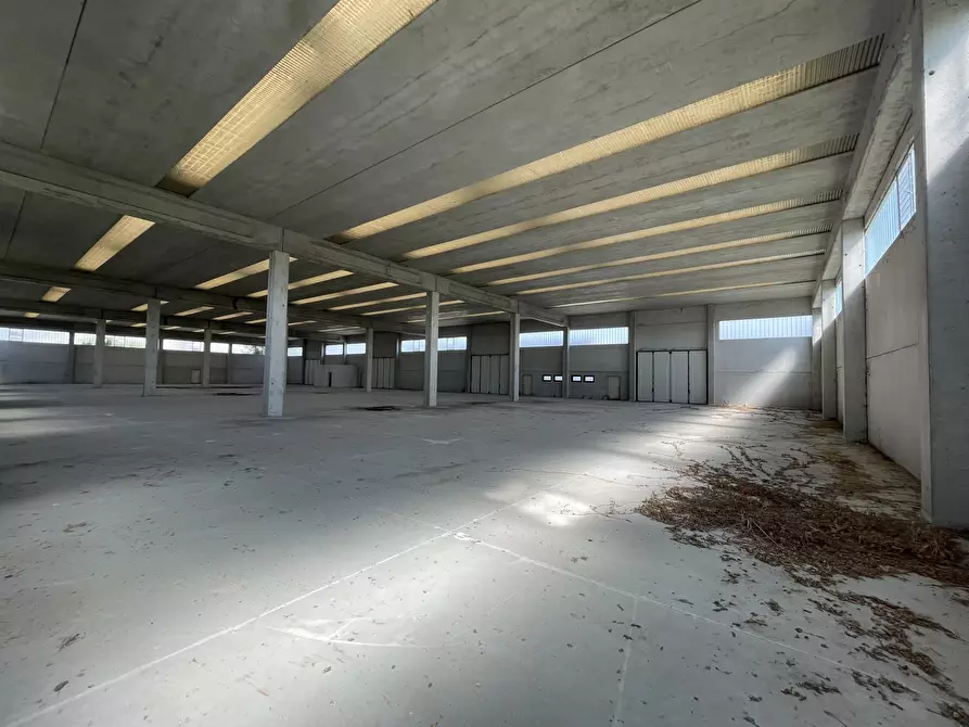 Immagine 9 di Magazzino in vendita  in Via delle Barazzine 9 a Pieve Porto Morone