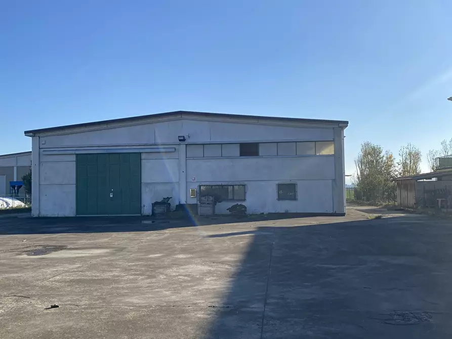 Immagine 2 di Capannone industriale in vendita  in Strada Provinciale 99 2 a Pancarana