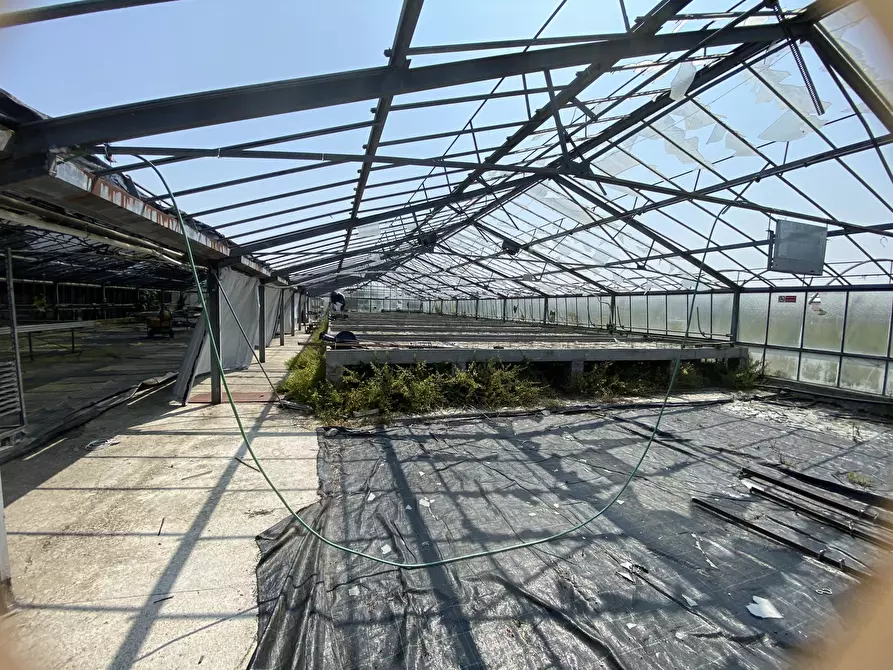 Immagine 9 di Terreno agricolo in vendita  in VIA CERCA 2 a Settala