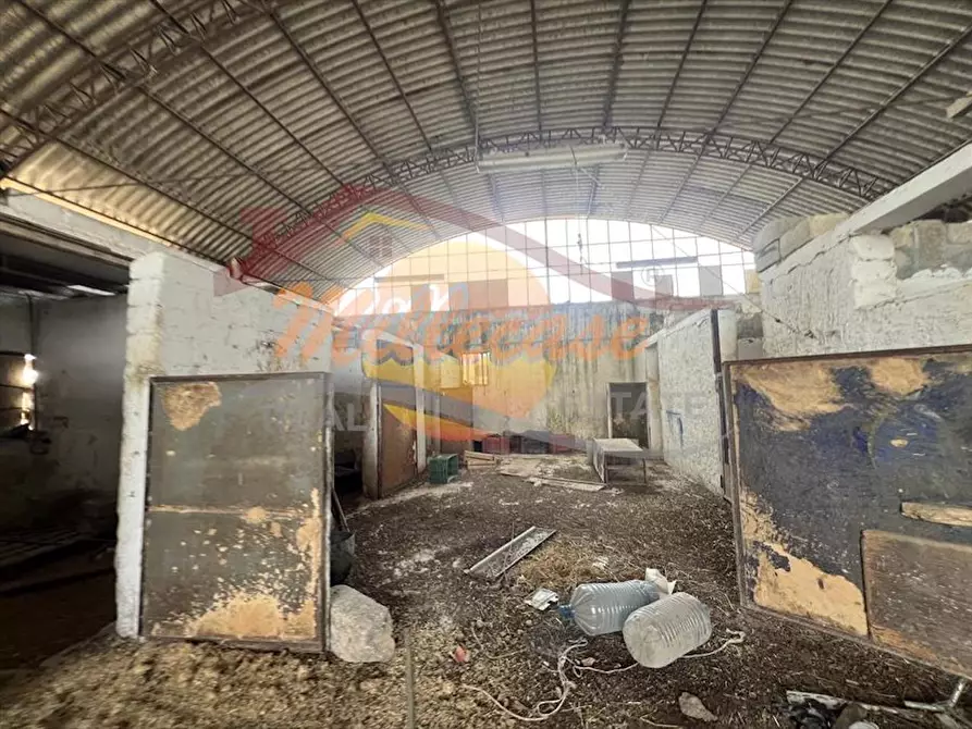 Immagine 7 di Attività artigianale in vendita  in COZZO PANTANO a Siracusa