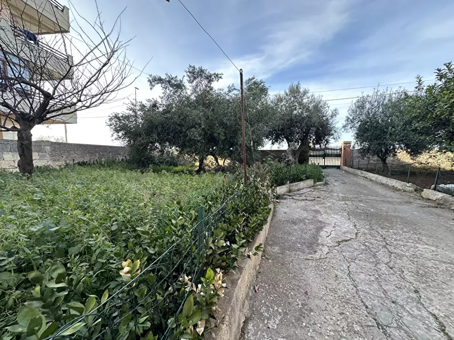 Immagine 30 di Villa in vendita  in Via Franca Maria Gianni a Siracusa