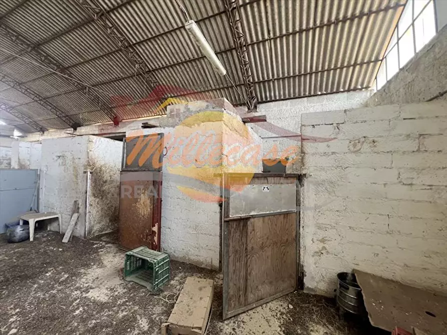 Immagine 4 di Attività artigianale in vendita  in COZZO PANTANO a Siracusa