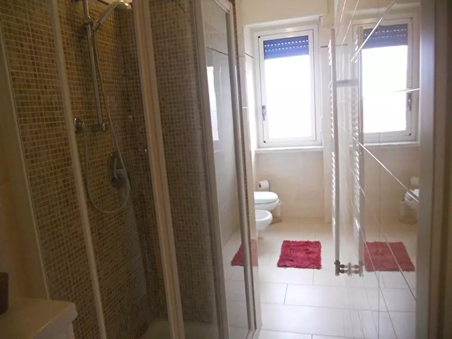 Immagine 31 di Attico in affitto  in Via Malta 4646 a San Bartolomeo Al Mare