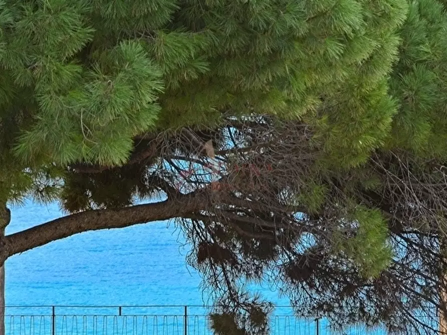 Immagine 4 di Trilocale in affitto  in Via Aurelia 57 a San Bartolomeo Al Mare