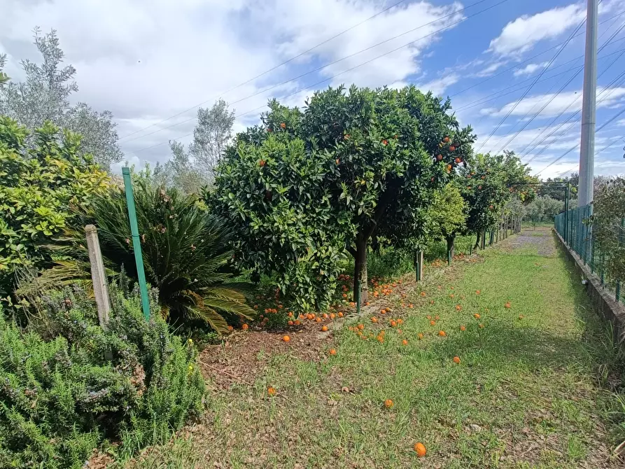 Immagine 18 di Casa indipendente in vendita  in strada provinciale a Pianopoli