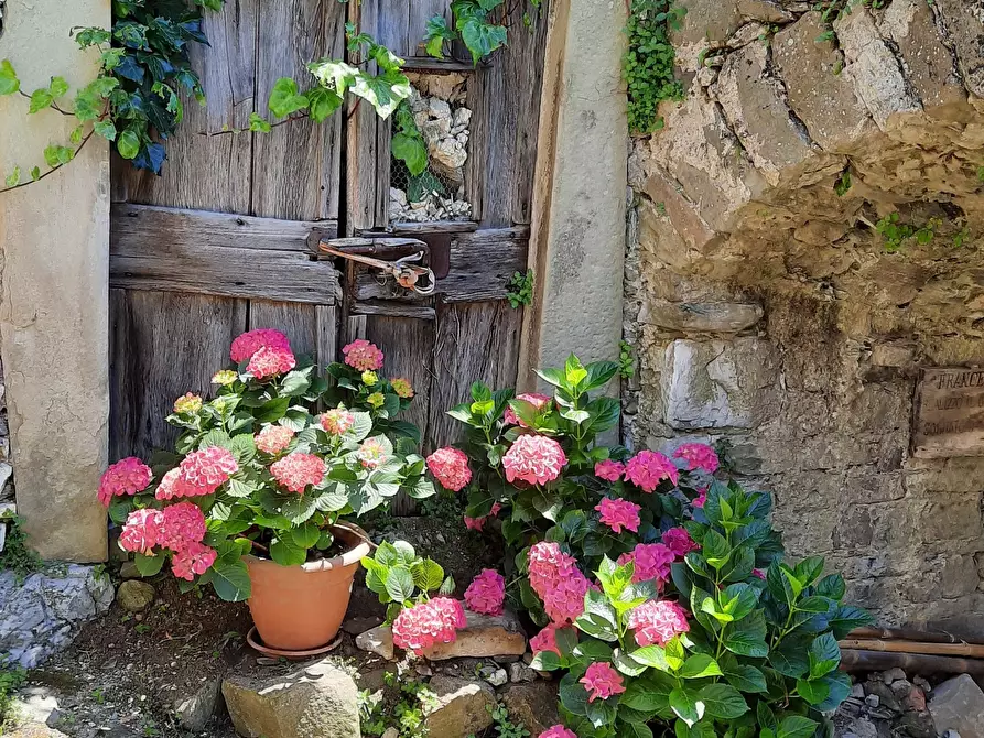 Immagine 55 di Casa indipendente in vendita  in Località Luscignano 18 a Casola In Lunigiana