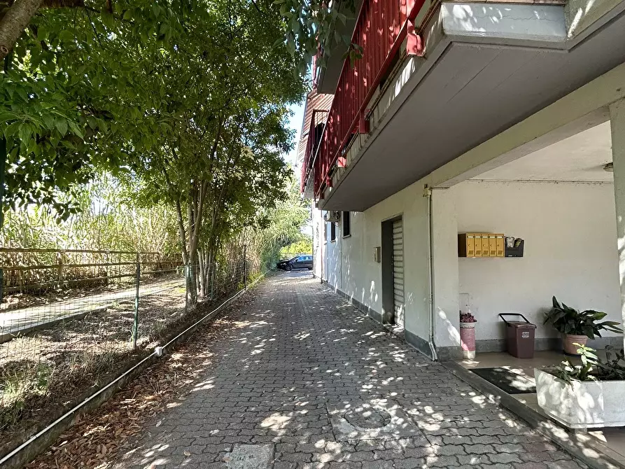 Immagine 37 di Quadrilocale in vendita  a Sarzana