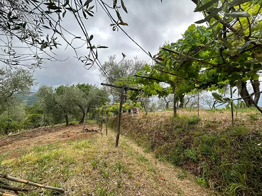 Immagine 1 di Terreno edificabile in vendita  a Arcola