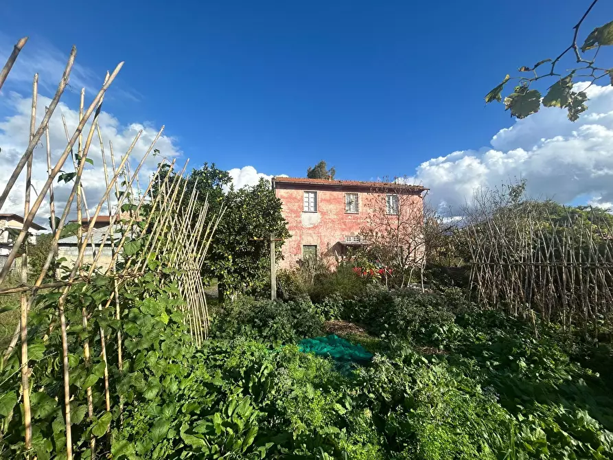 Immagine 25 di Rustico / casale in vendita  a Sarzana