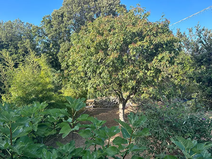 Immagine 16 di Rustico / casale in vendita  a Ameglia