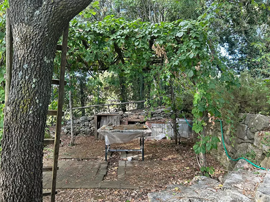 Immagine 7 di Rustico / casale in vendita  a Ameglia