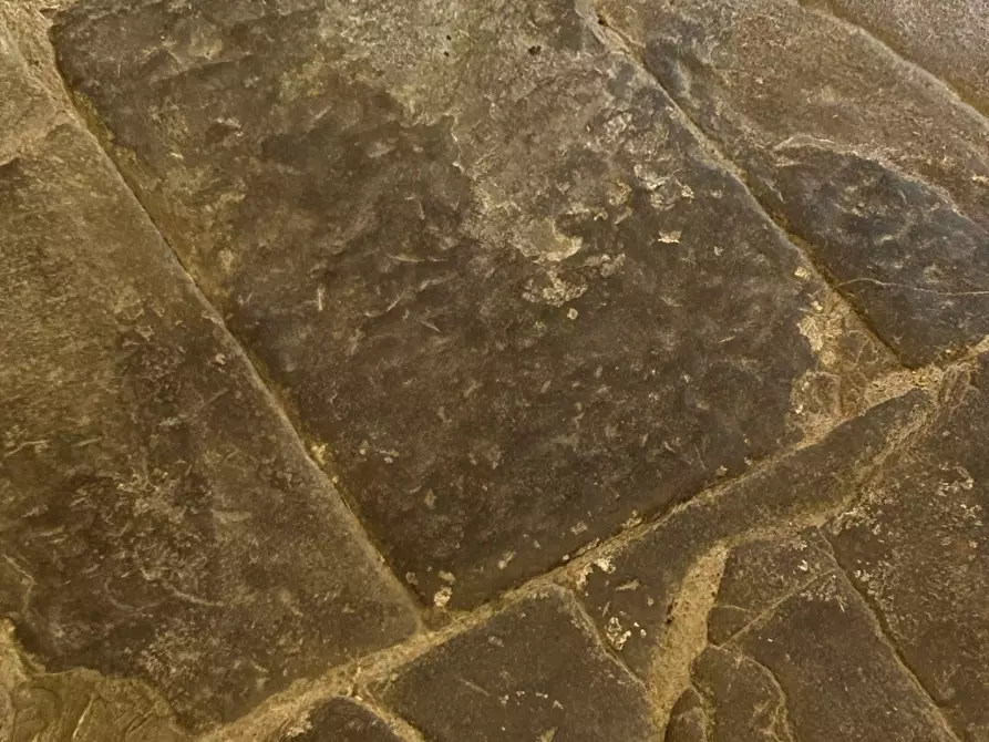 Immagine 52 di Terratetto in vendita  in Località Luscignano 18 a Casola In Lunigiana