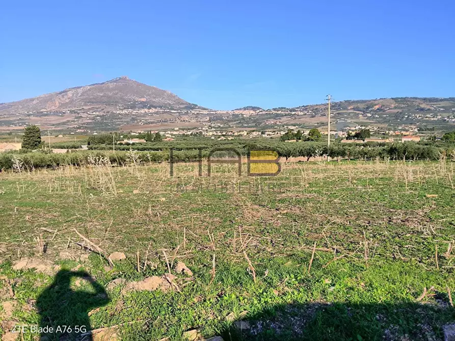 Immagine 3 di Terreno agricolo in vendita  a Valderice