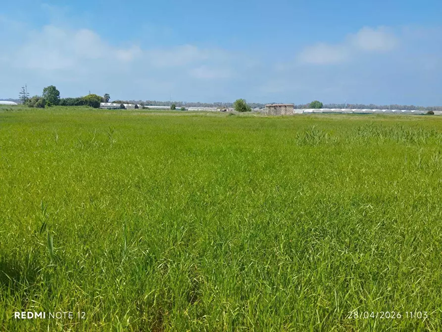 Immagine 14 di Terreno agricolo in vendita  in via bernardo tanucci a Eboli