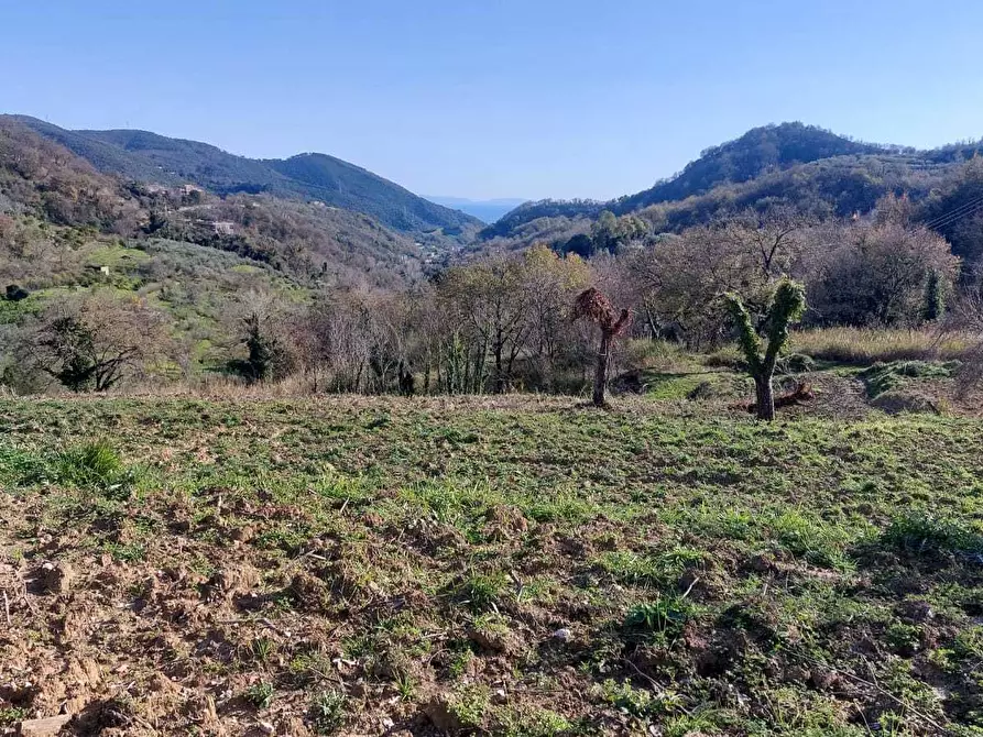 Immagine 9 di Terreno agricolo in vendita  in via casa vicinanza a Salerno