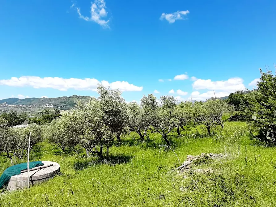 Immagine 5 di Terreno agricolo in vendita  in via contrada maiano a Montecorvino Rovella
