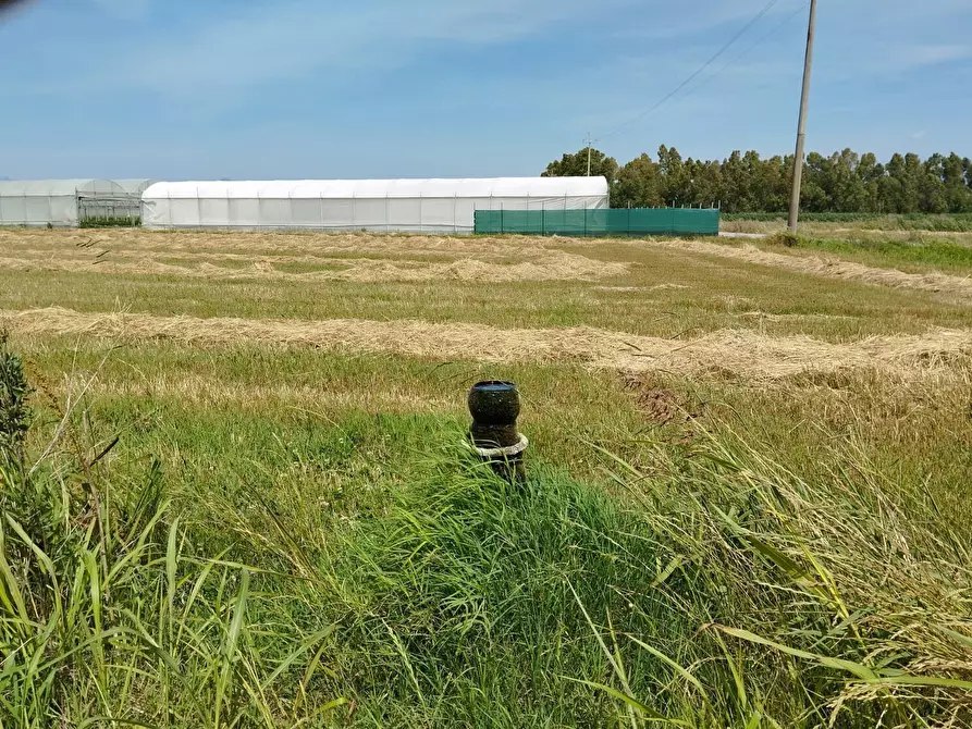 Immagine 18 di Terreno agricolo in vendita  in via bernardo tanucci a Eboli