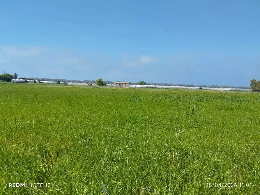 Immagine 24 di Terreno agricolo in vendita  in via bernardo tanucci a Eboli