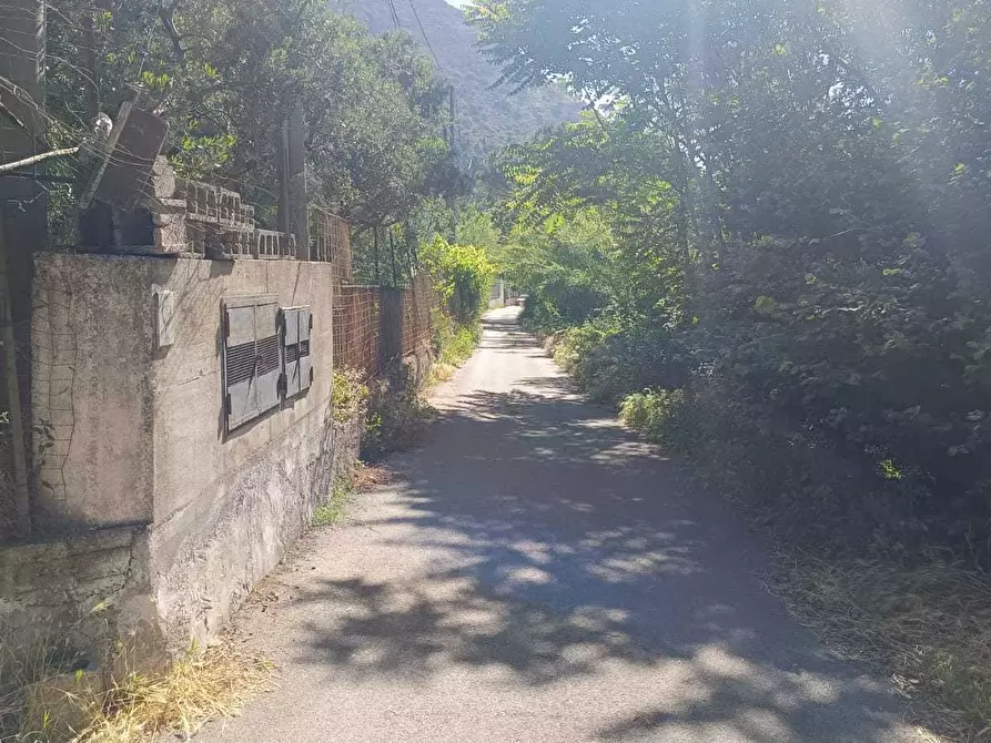 Immagine 4 di Terreno agricolo in vendita  in via torquato tasso a Castel San Giorgio