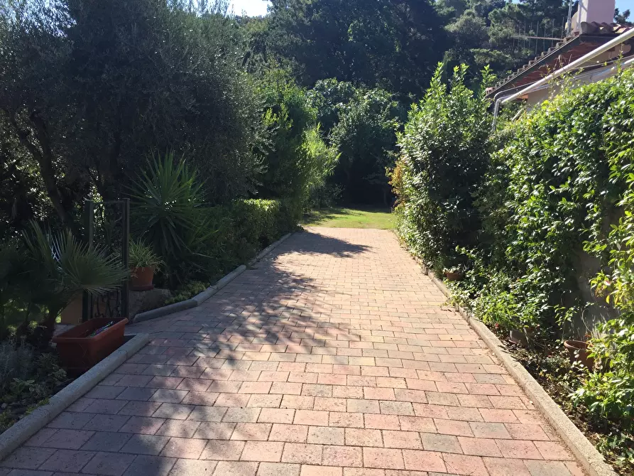 Immagine 16 di Appartamento in vendita  in Via Discesa del Valle snc a Monte Argentario