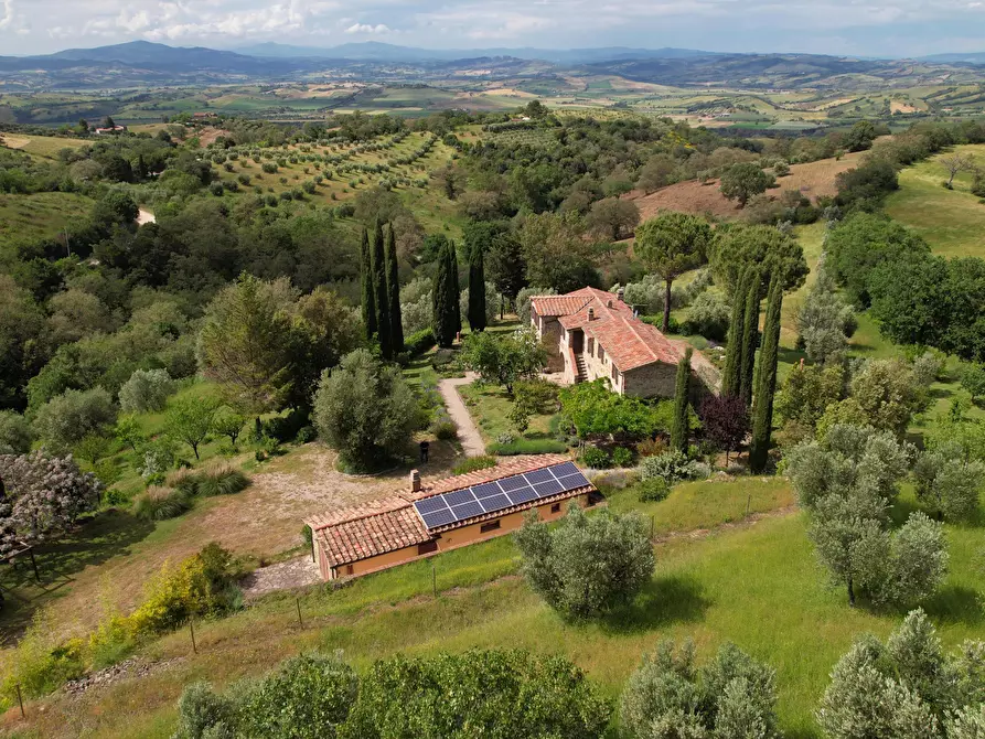 Immagine 4 di Rustico / casale in vendita  in vicolo dei fossi 2/C a Scansano