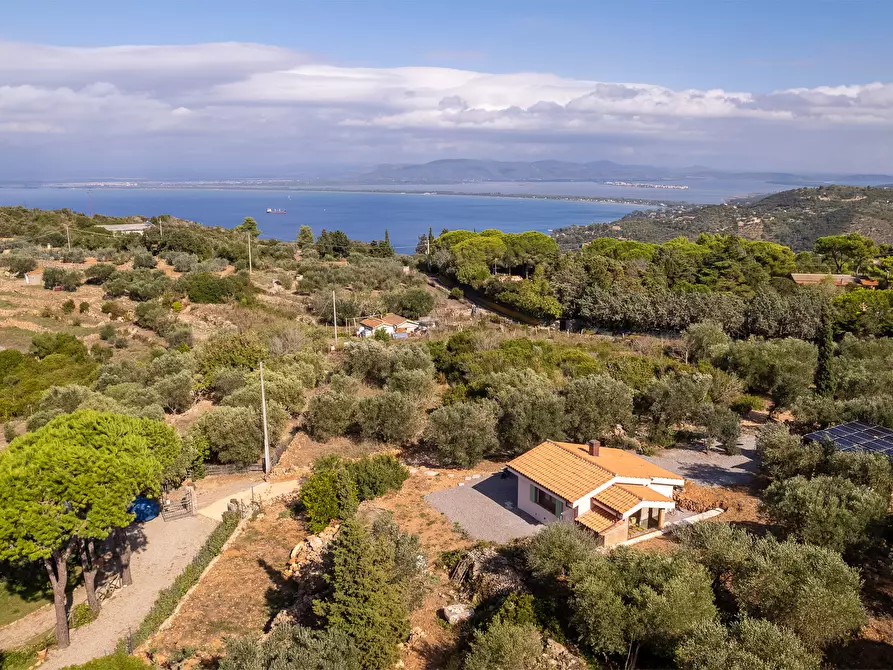 Immagine 4 di Casa indipendente in vendita  in Via della cacciarella 2 a Monte Argentario