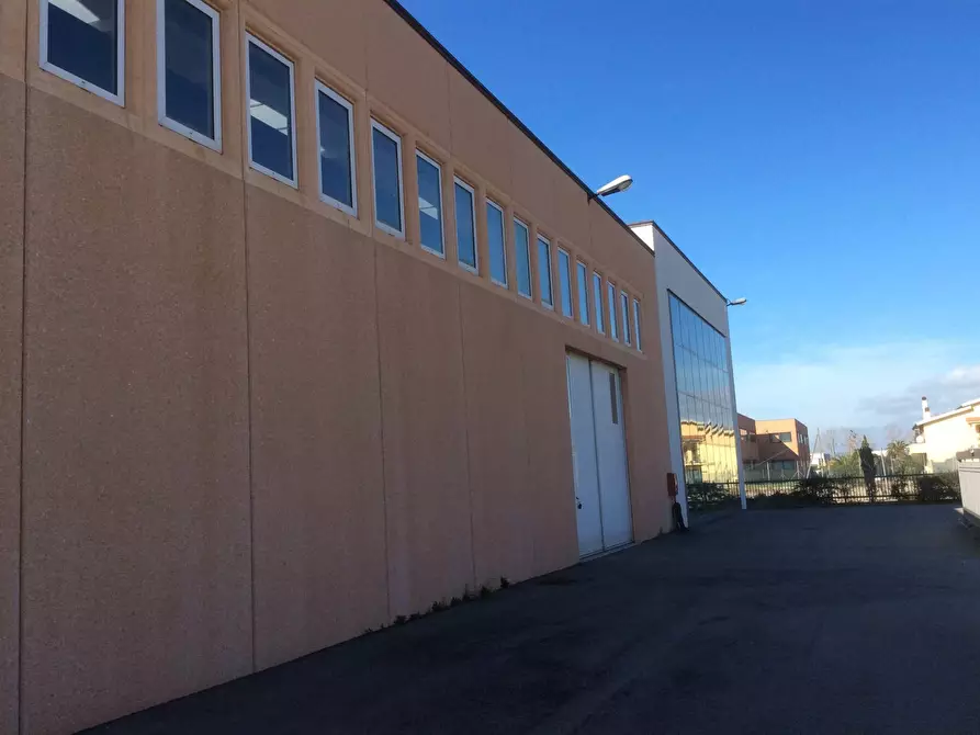 Immagine 5 di Attività artigianale in vendita  in Via dell'Airone 6A a Orbetello